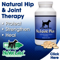 NuVet Supplements